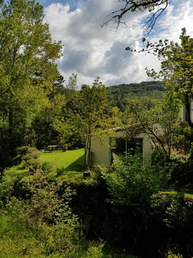 Beautiful Studio Surrounded By Nature Lanet Luaran gambar