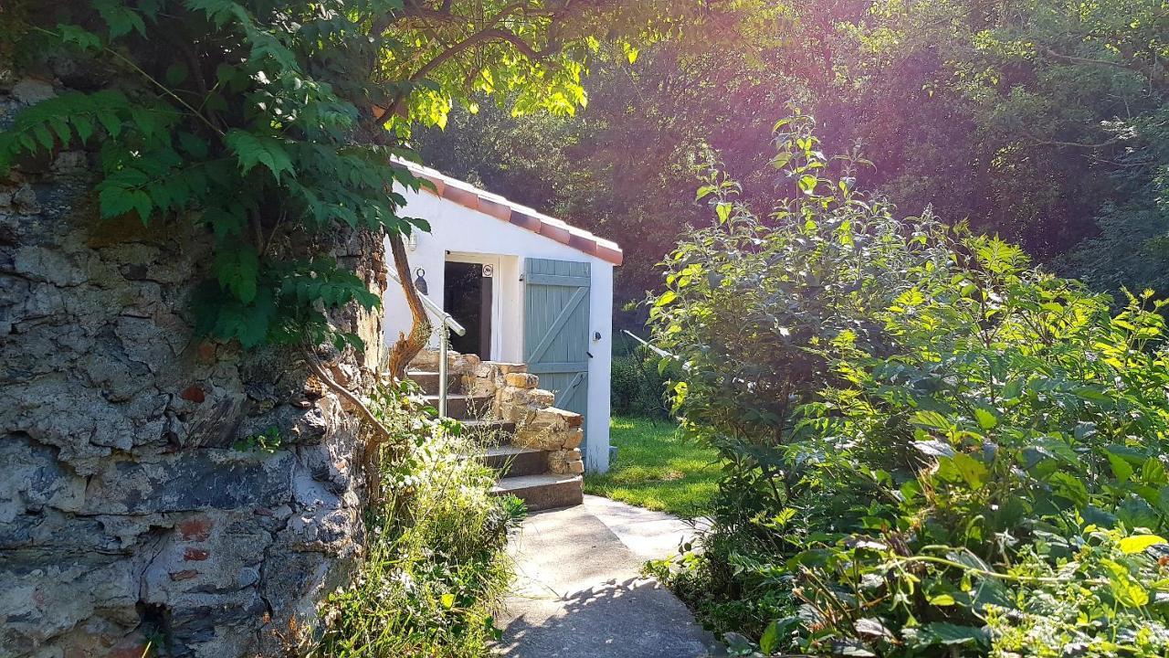 Beautiful Studio Surrounded By Nature Lanet Luaran gambar