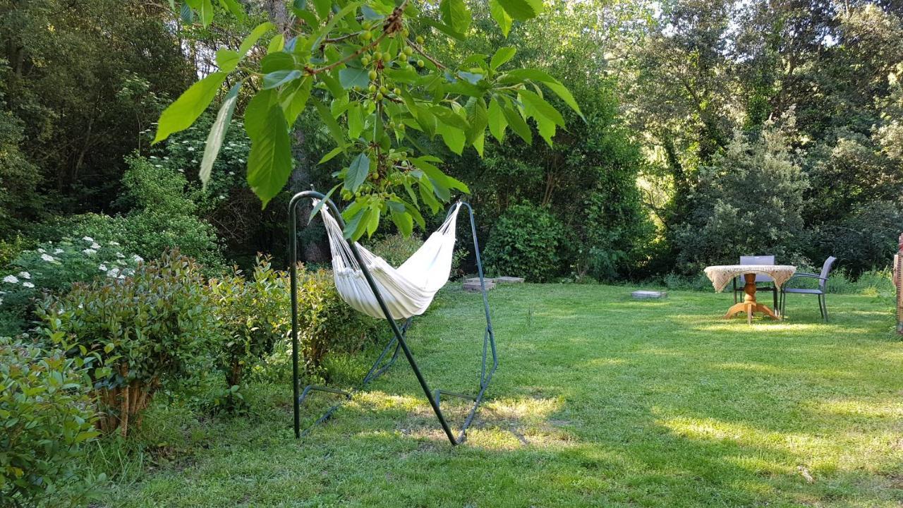 Beautiful Studio Surrounded By Nature Lanet Luaran gambar