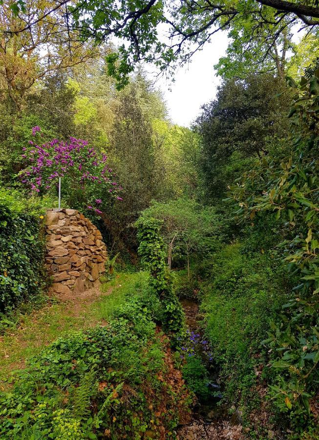 Beautiful Studio Surrounded By Nature Lanet Luaran gambar