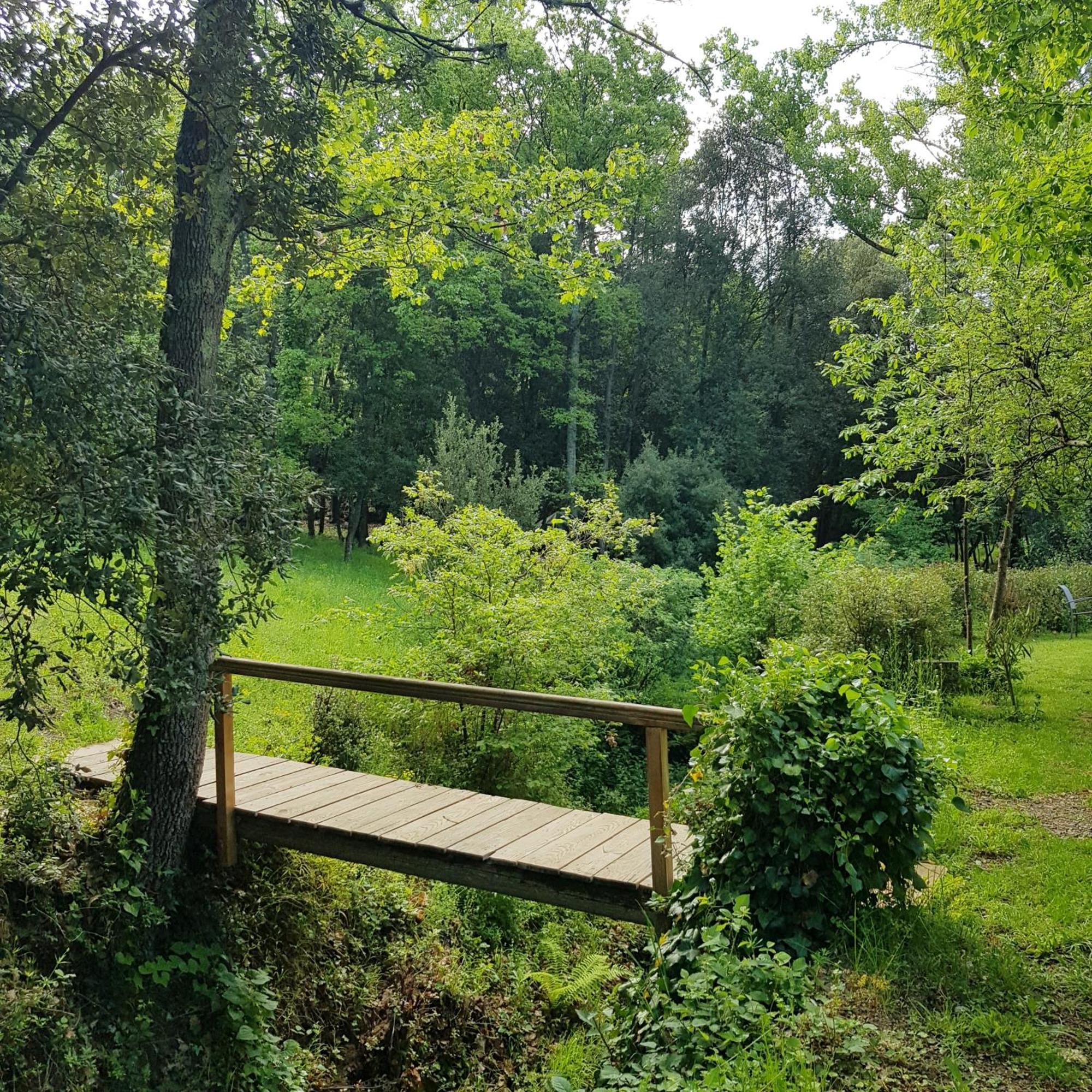 Beautiful Studio Surrounded By Nature Lanet Luaran gambar